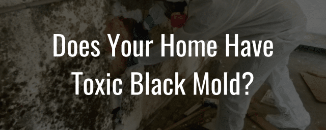 Does Your Home Have Toxic Black Mold?